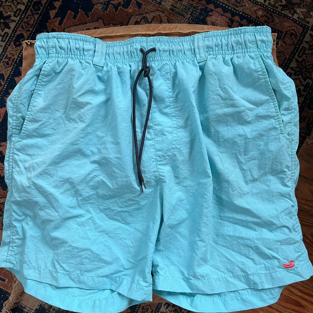 Southern Marsh Swim trunks